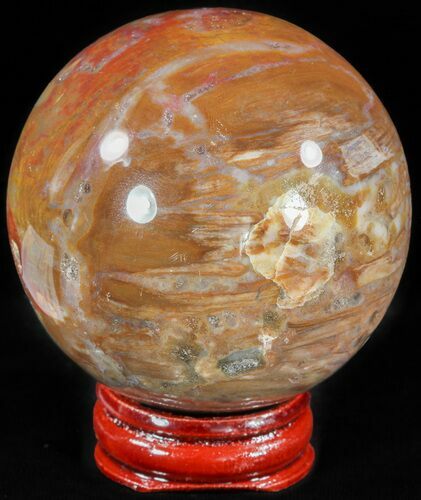 Colorful Petrified Wood Sphere #49758